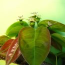 무정농장 이미지