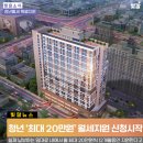 함평나비(광주) 이미지