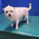 바른길동물병원 이미지