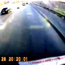 개 좋은 세상 이미지