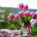 상쾌한아침
