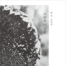 소소한밤 이미지