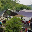 팜스퀘어 하늘타리 이미지