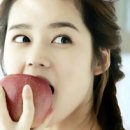 거창사과 이미지