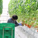 혁신대로 이미지