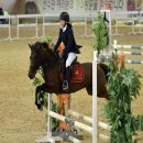 장수승마장 이미지