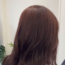 오요헤어