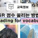 영유쌤 이미지