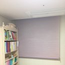 핑크랑보라 이미지