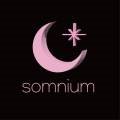 솜니움(somnium_nail) 네이버블로그