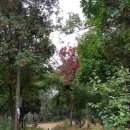 명상과 함께하는 힐링 요가 이미지