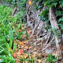 희망대공원길 이미지