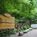 황지연못 이미지