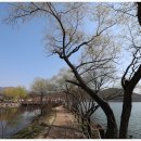 공주시계룡면양화보건진료소 | 계룡산 양화저수지 둘레 길/충남 공주 봄 여행