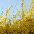 순천이수중학교 이미지