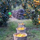 건영농장 이미지