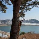 호명해와달 이미지