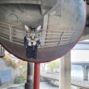 소모천천 | [서울 런닝]망원 한강 슬로우런