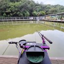 비봉 낚시터 이미지