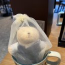 신화로R | [제주도] 스타벅스 제주신화월드R점 프리퀀시 블랭킷 수령받기❤️ 제주한정 땅콩롤 내돈내산 후기