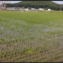 시뫼마을 경로당 이미지