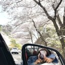 송정(남천) 이미지