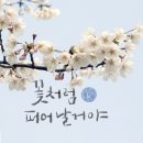 캘리그라피 이미지