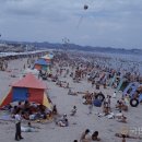 송도해수욕장 이미지