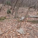 산장의 여인 이미지