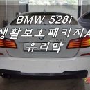 BMW 528i 생활보호패키지A 사이드미러 필름PPF 유리막 [카멜레온랩스][일산덕이동][랩핑카스킨전문샵][랩LAP] 이미지