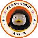 무궁화 꽃이 피었습니다 딱지! 이미지