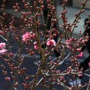 거창읍-27 이미지