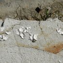 땅끝관광지 이미지