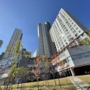 호암토성1로 이미지