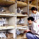 서주농장 이미지