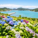 전남 고흥의 ‘쑥섬’ 여행 이미지