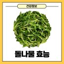 돌나물 성분 돌나물 효능 먹는방법