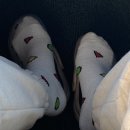 코이스테이 이미지