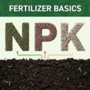 NPK 쉬운 이해 : 질소 인산 칼리(칼륨) 이미지