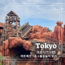 주식회사 우주미디어 | 쫄보의 도쿄 디즈니랜드 어트랙션 후기(티켓 구매처, DPA 없이 탄 빅 썬더 마운틴, 미녀와 야수, 불꽃...