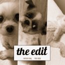 도그하우스 이미지