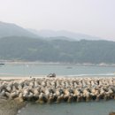 만성리해수욕장(자갈밭) 이미지