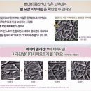 더 리커버리 이미지