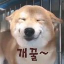 메트로마켓