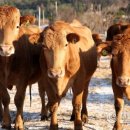 강진산업 이미지