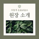 우듬지논술교습소