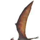 프테라노돈 이미지