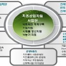 임실치즈피자 이미지