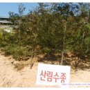 옥향슈퍼 이미지