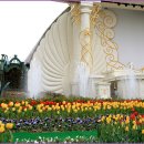 포시즌 봄 이미지